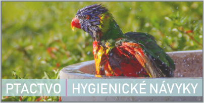 Vše o hygienických návycích | Ptactvo